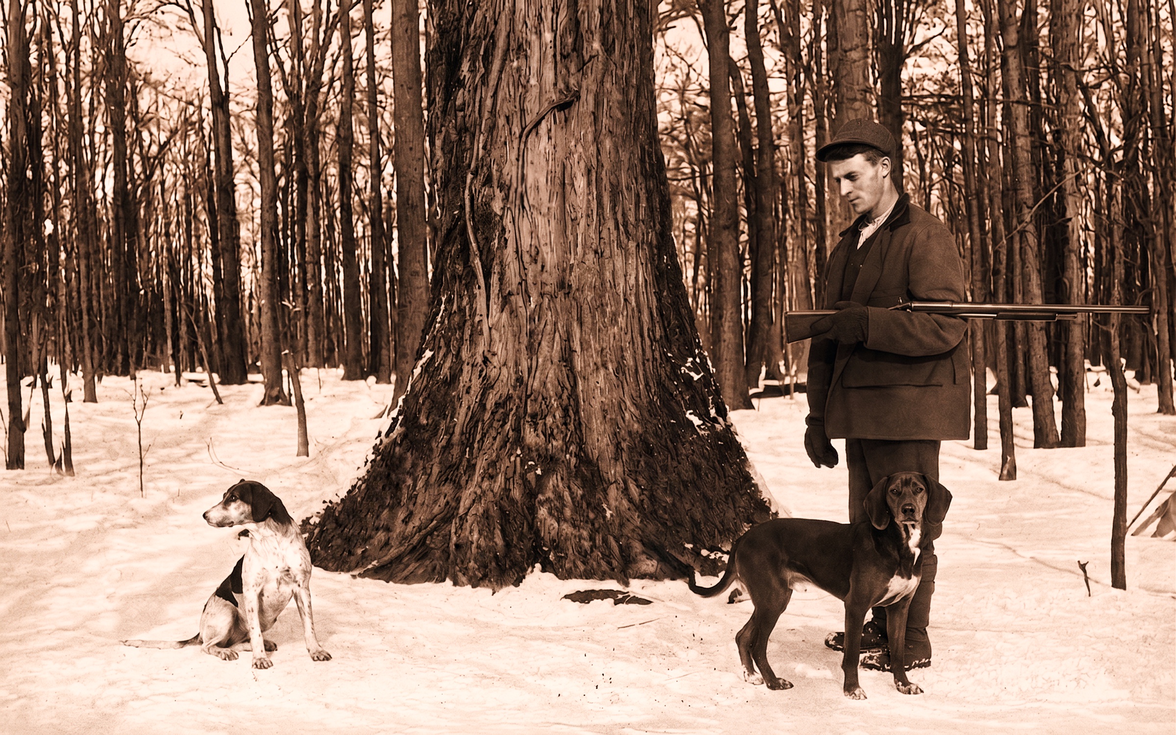Winter hunting photograph after restoration